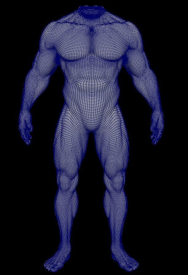 muscular sculpt base mesh humanly accurate 3D model_6