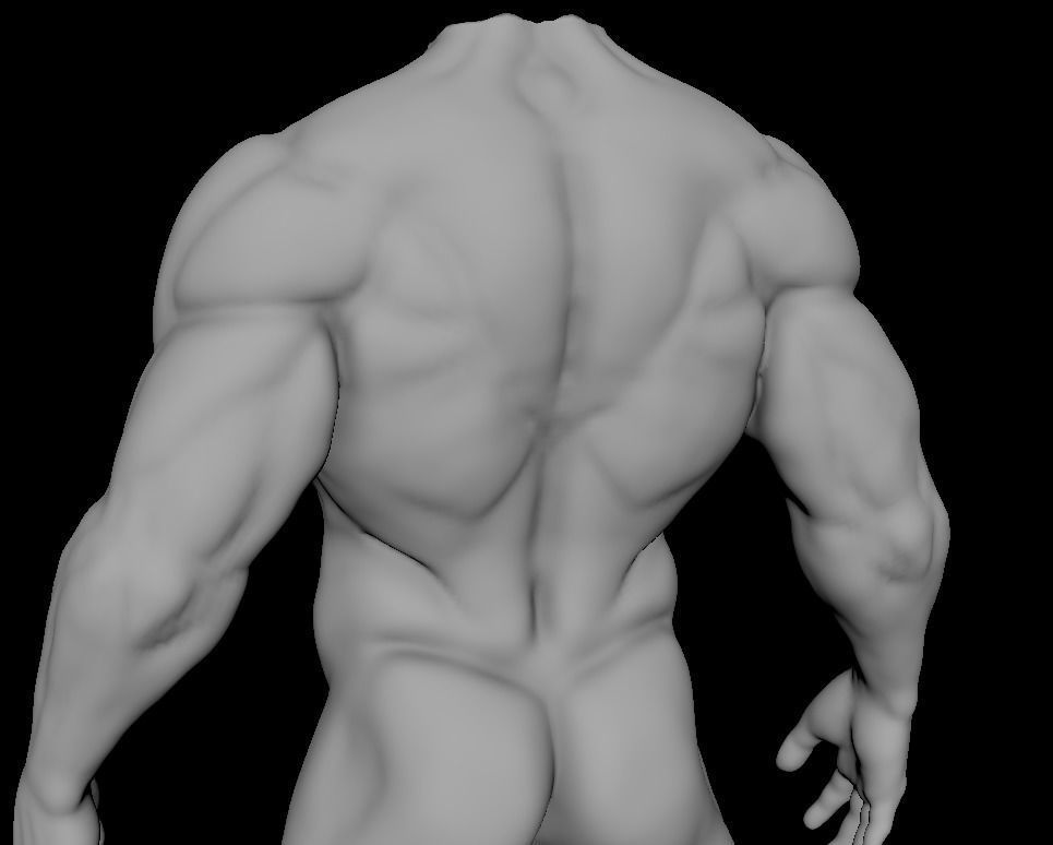 muscular sculpt base mesh humanly accurate 3D model_4