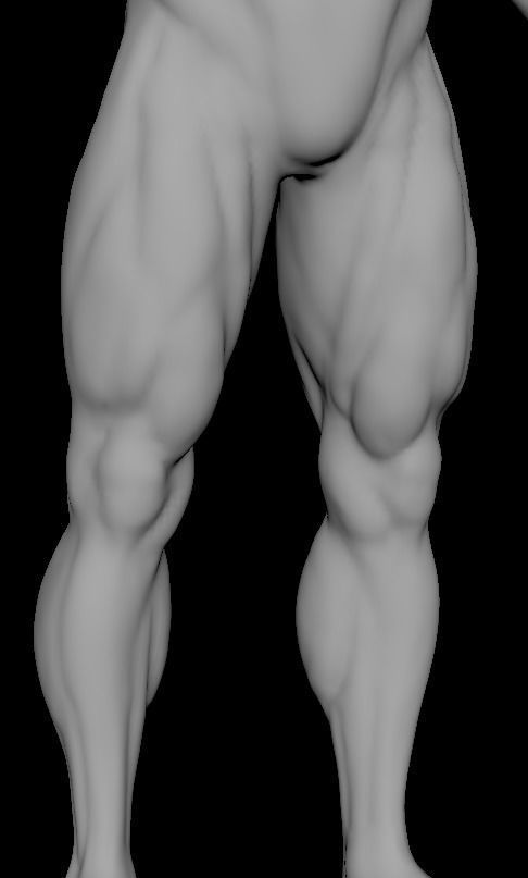 muscular sculpt base mesh humanly accurate 3D model_5