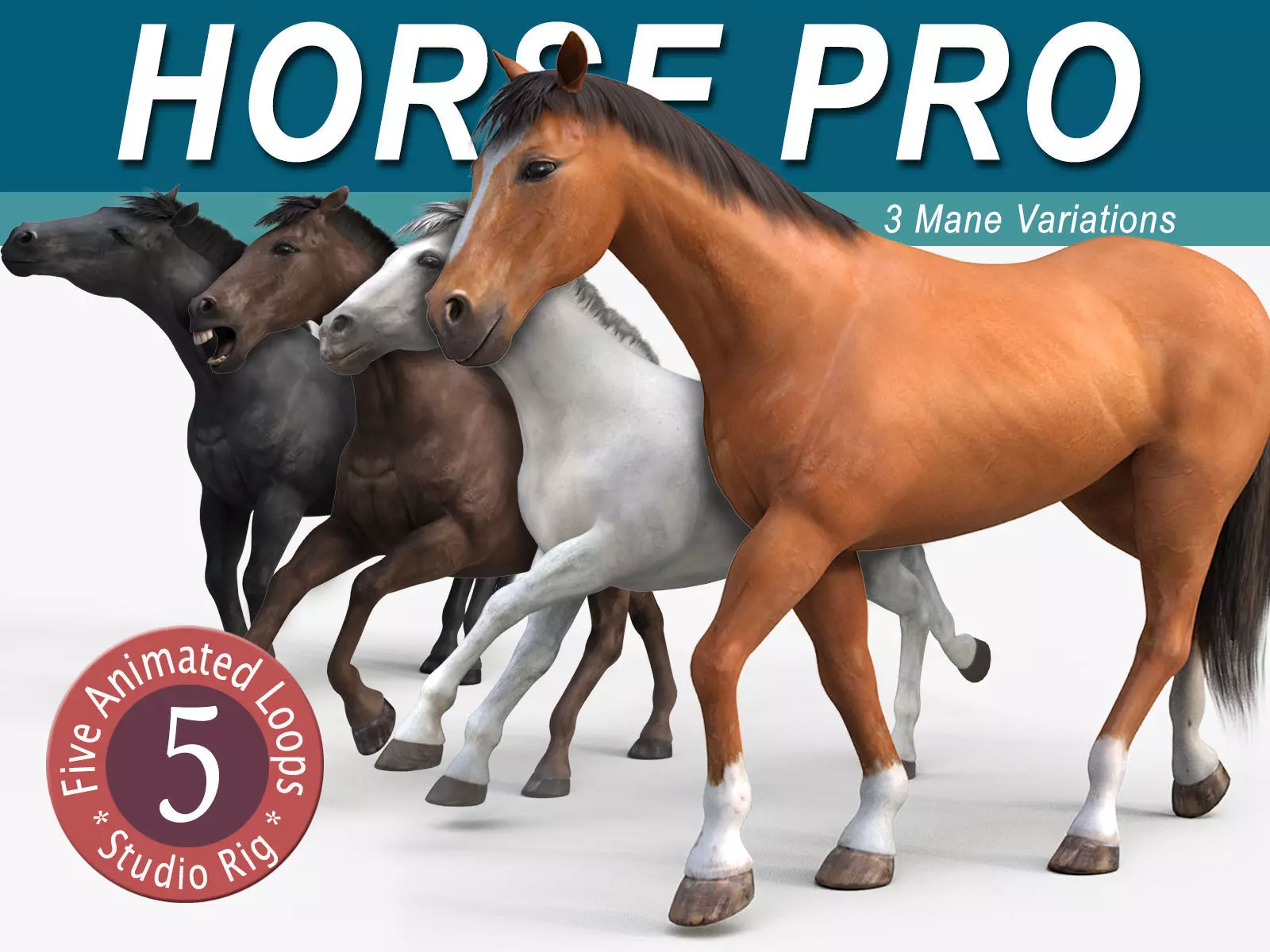 Horses PRO - 4 in 1 Bundle 3D model