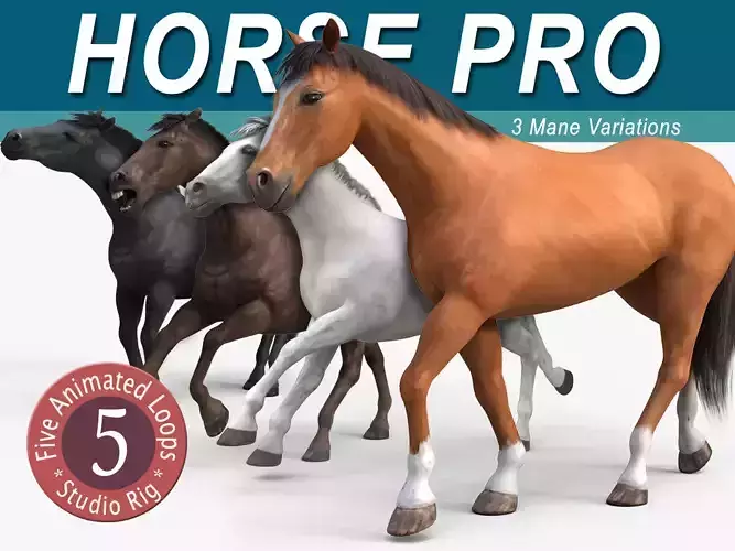 Horses PRO - 4 in 1 Bundle