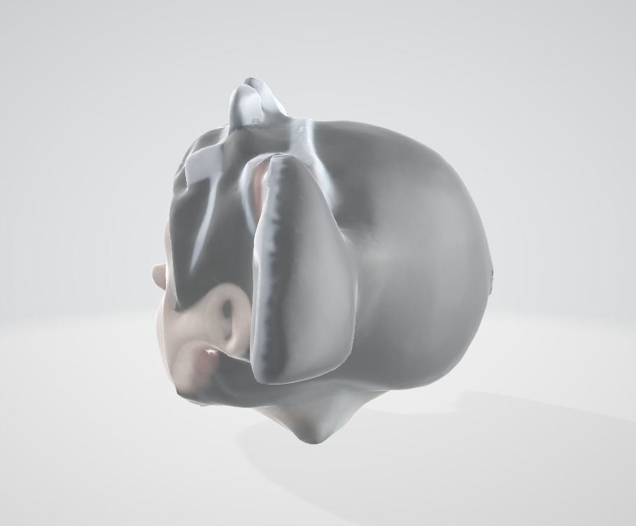 Head Roboko 3D model_1