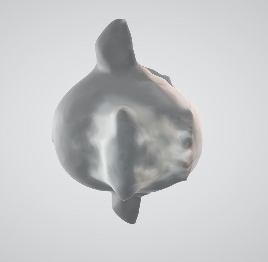 Head Roboko 3D model_4