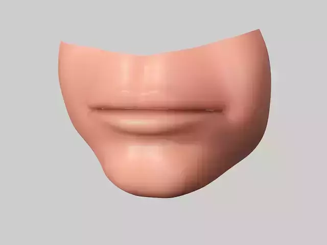 lip realistic lip human lip 3D model