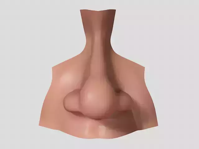 nose realistic nose human nose 3D model