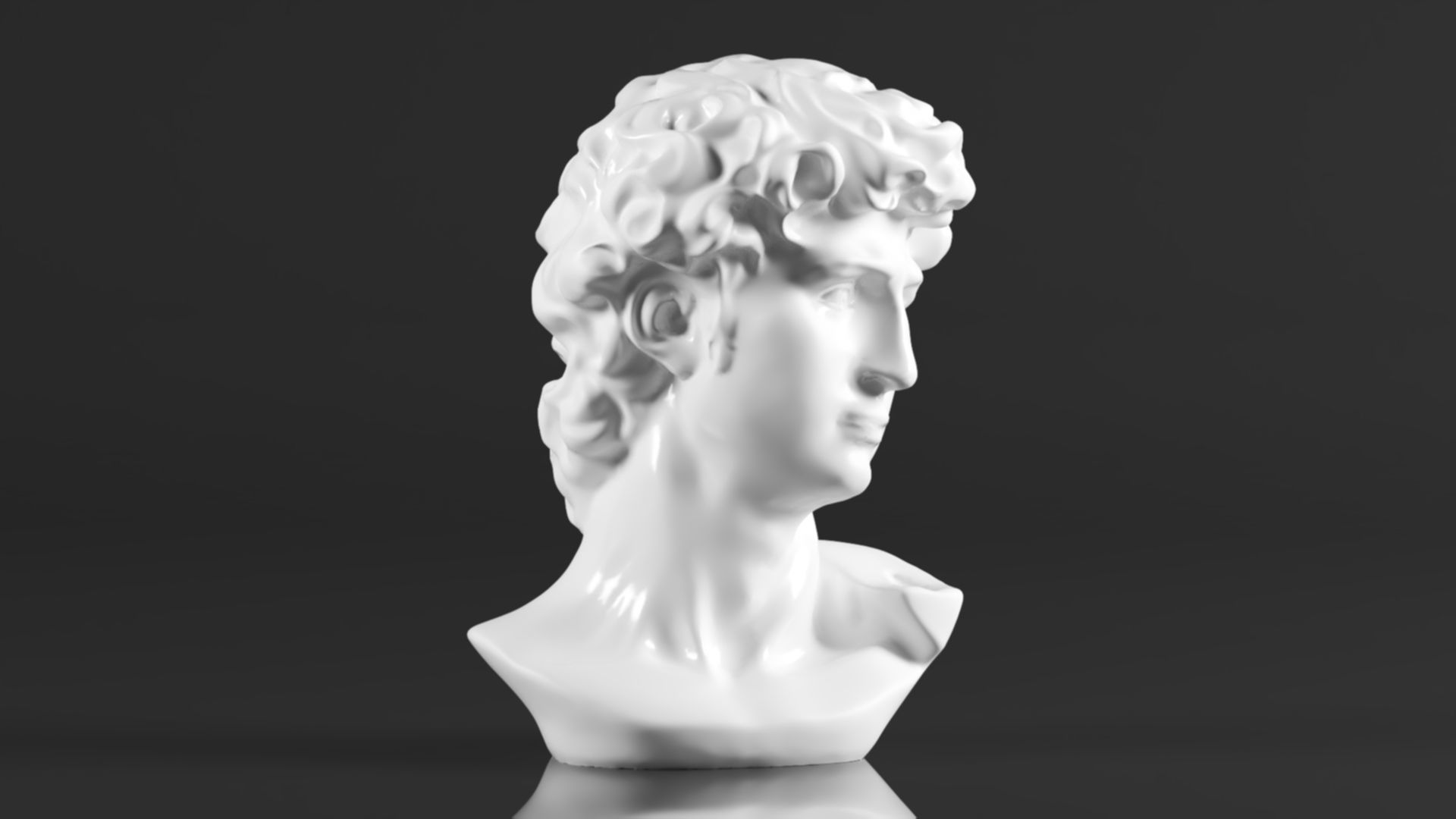 Cozylkx  Premium Resin Greek Michelangelo David Bust Statue 3D print model_3