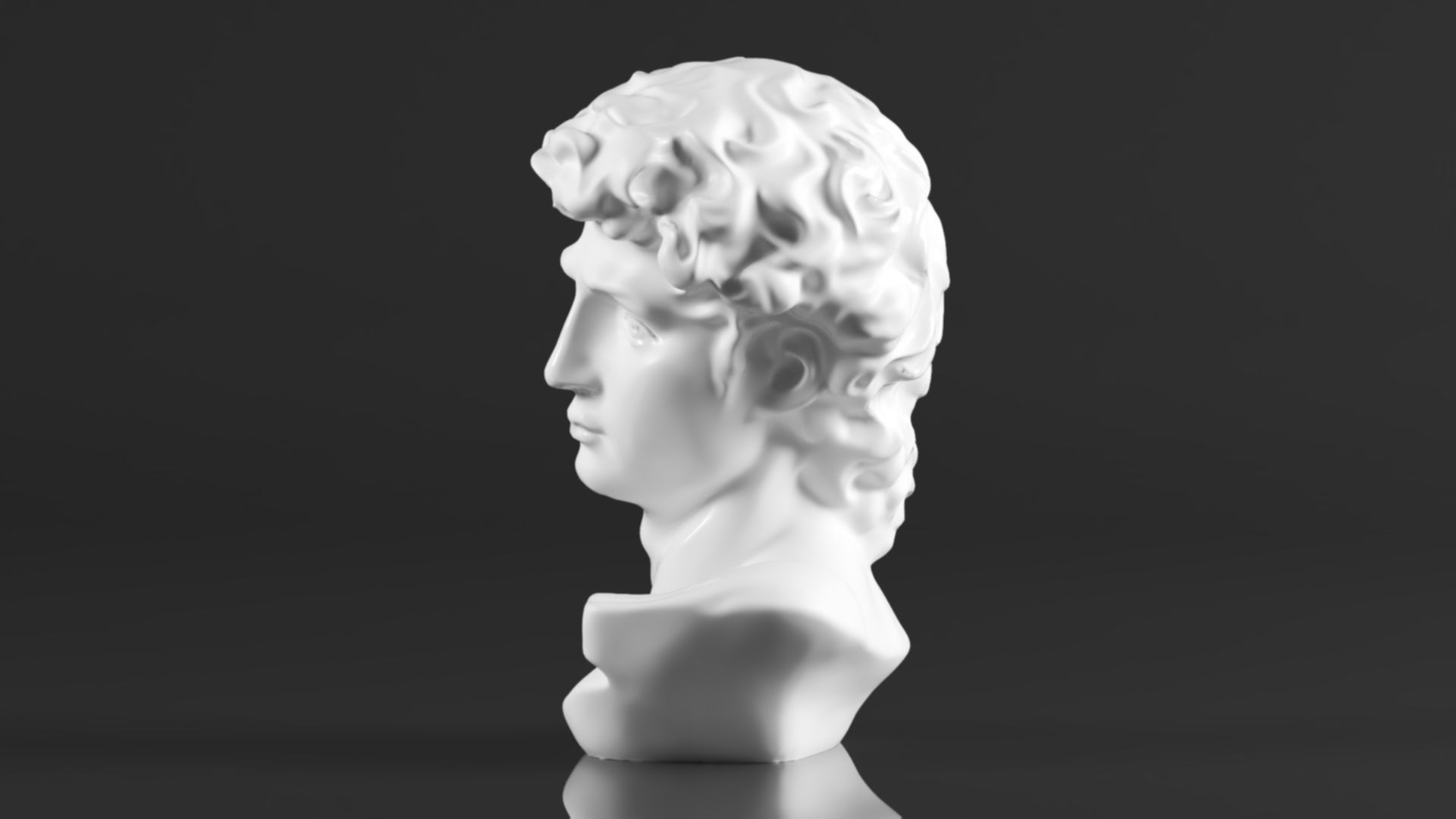 Cozylkx  Premium Resin Greek Michelangelo David Bust Statue 3D print model_6