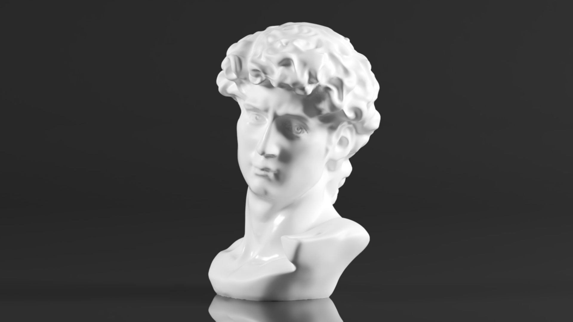 Cozylkx  Premium Resin Greek Michelangelo David Bust Statue 3D print model_7