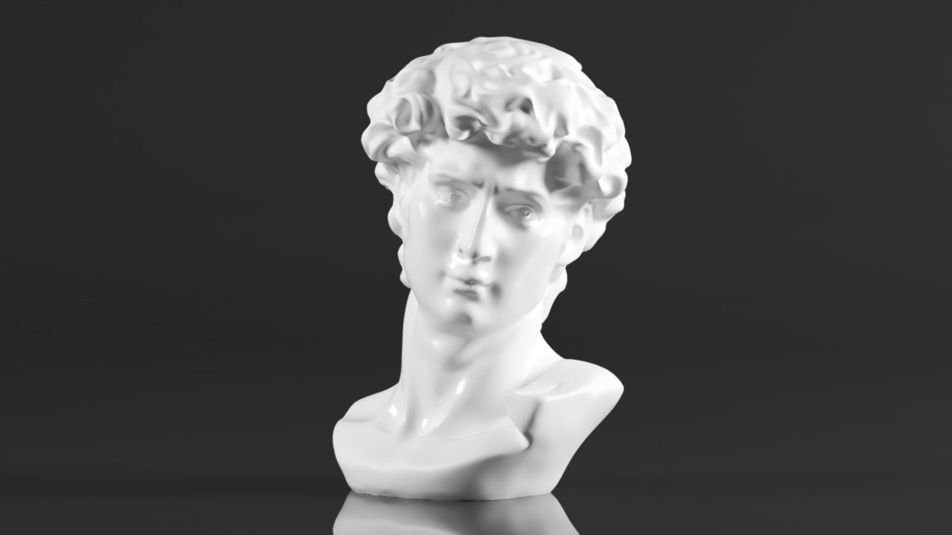 Cozylkx  Premium Resin Greek Michelangelo David Bust Statue 3D print model_8