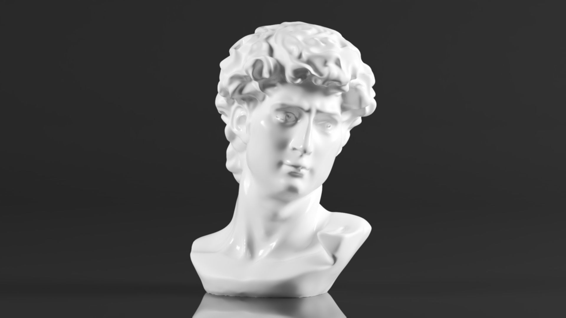 Cozylkx  Premium Resin Greek Michelangelo David Bust Statue 3D print model_2