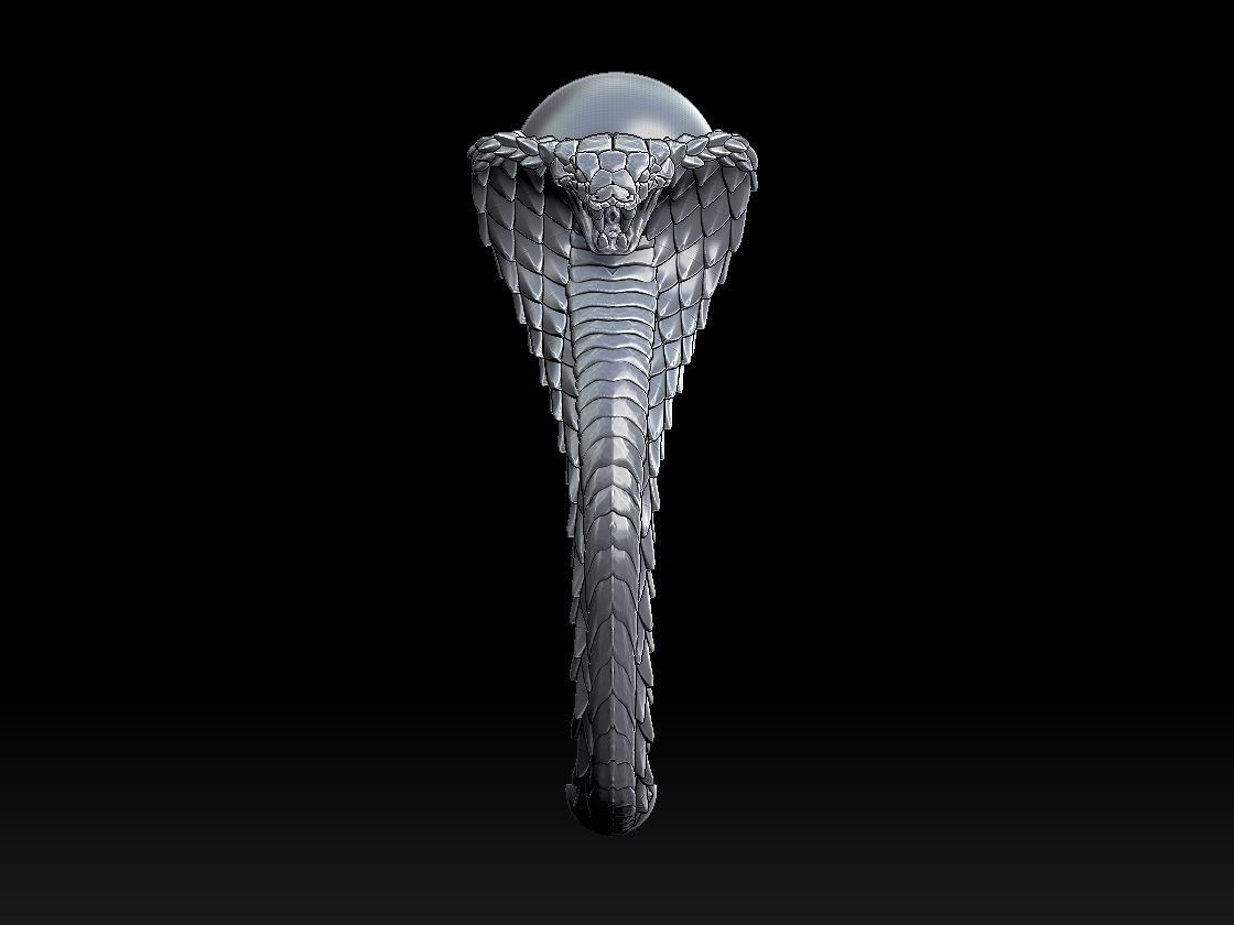 ring cobra 3D print model_36