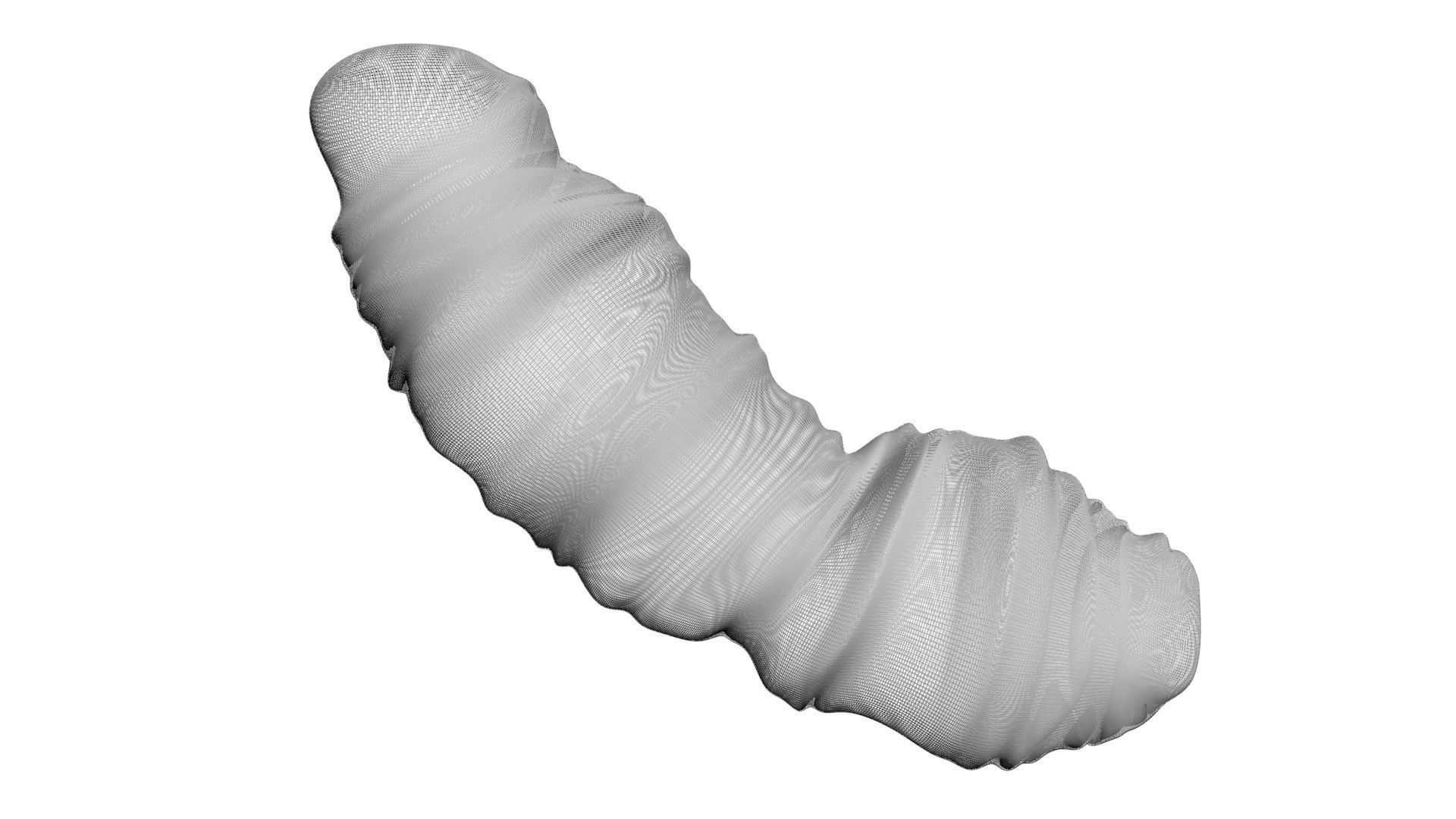 Puffed Rice 3D model_21