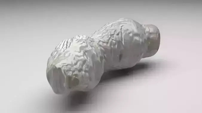 Puffed Rice 3D model