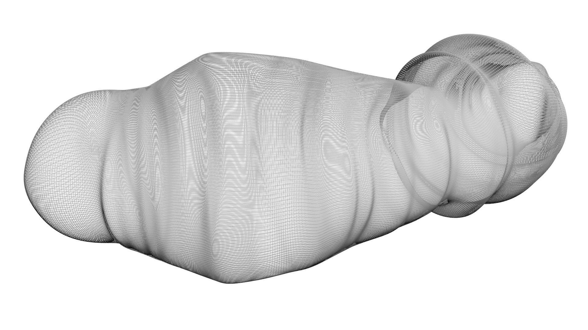 Puffed Rice 3D model_20