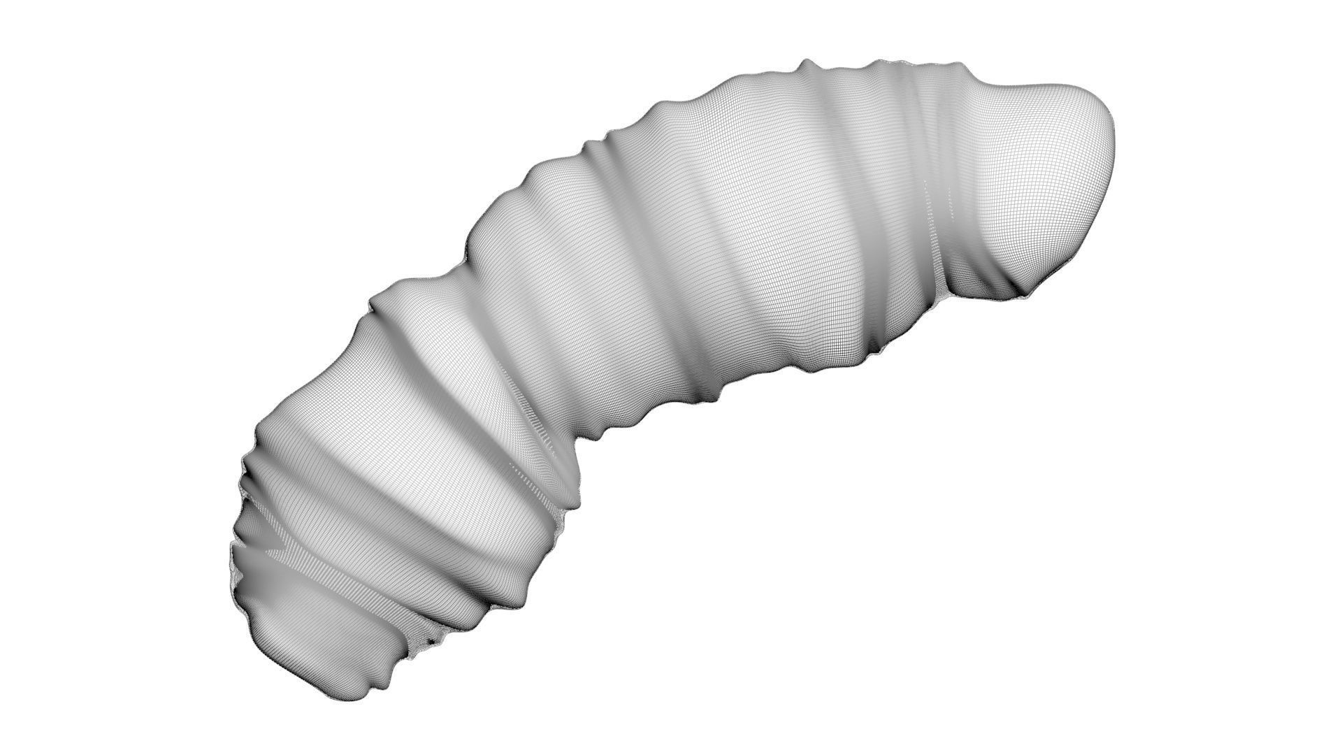 Puffed Rice 3D model_23