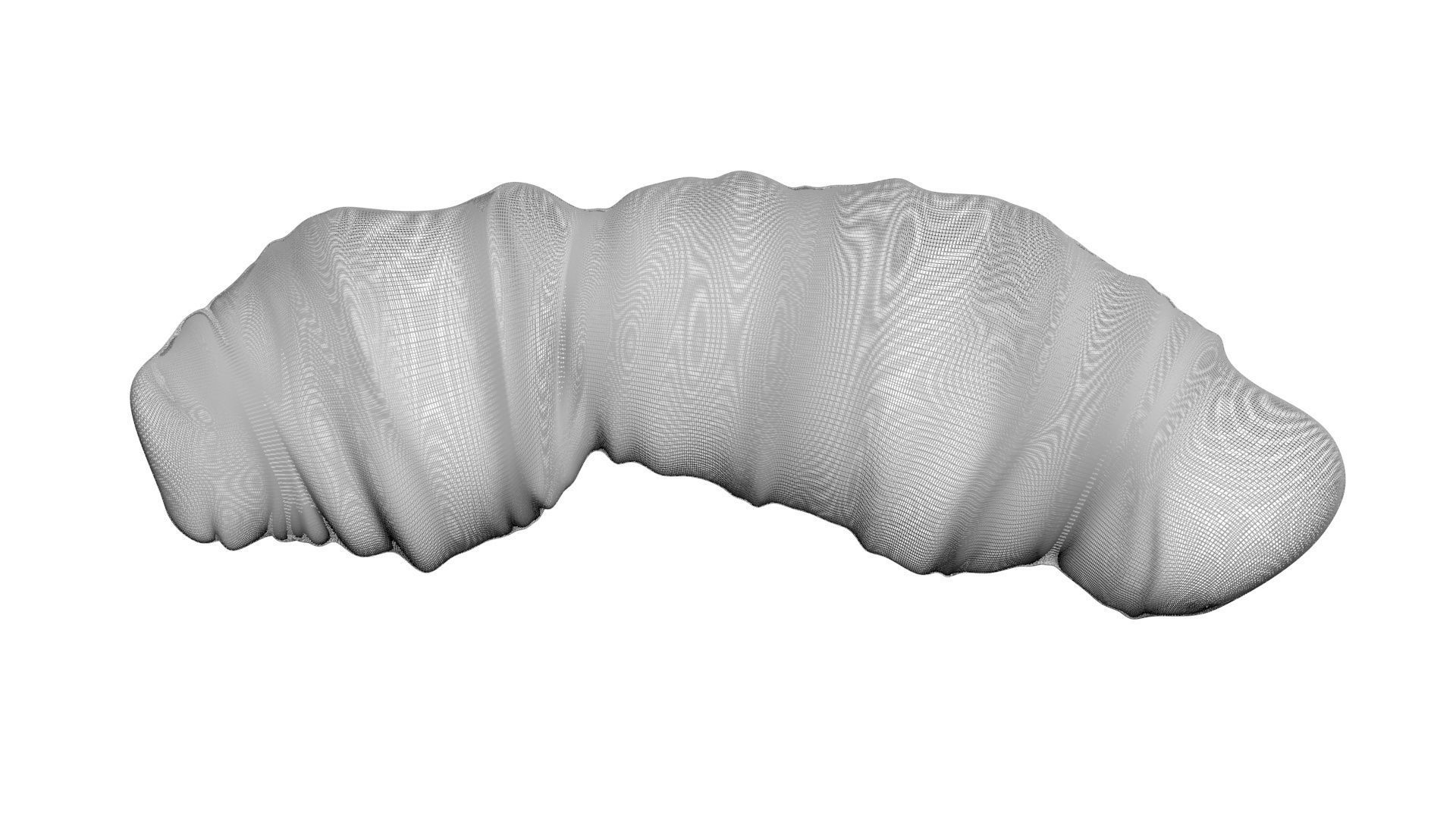 Puffed Rice 3D model_19