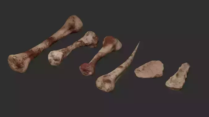 Bloody Chicken Bones