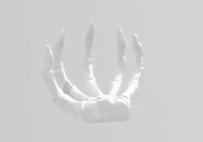 Skeleton Hand