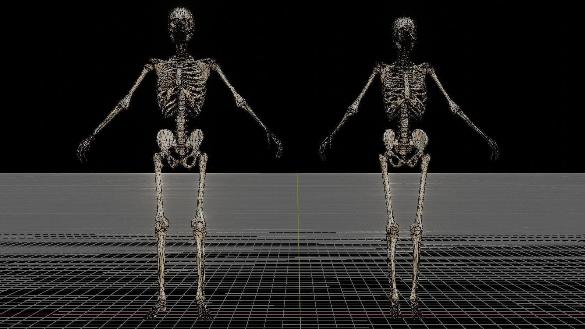 Human Skeleton 3D model_6