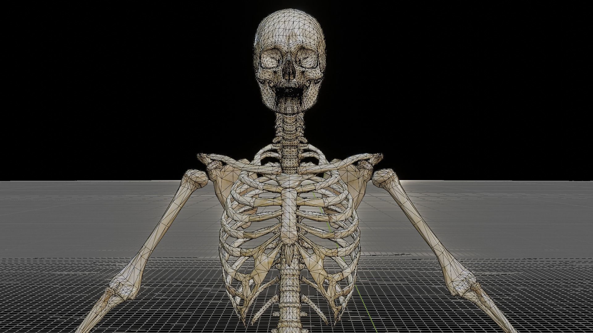 Human Skeleton 3D model_5