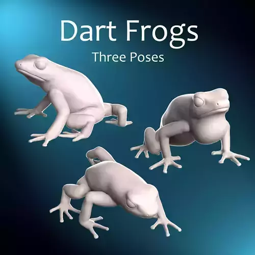 Poison Dart Frogs - Dendrobatidae