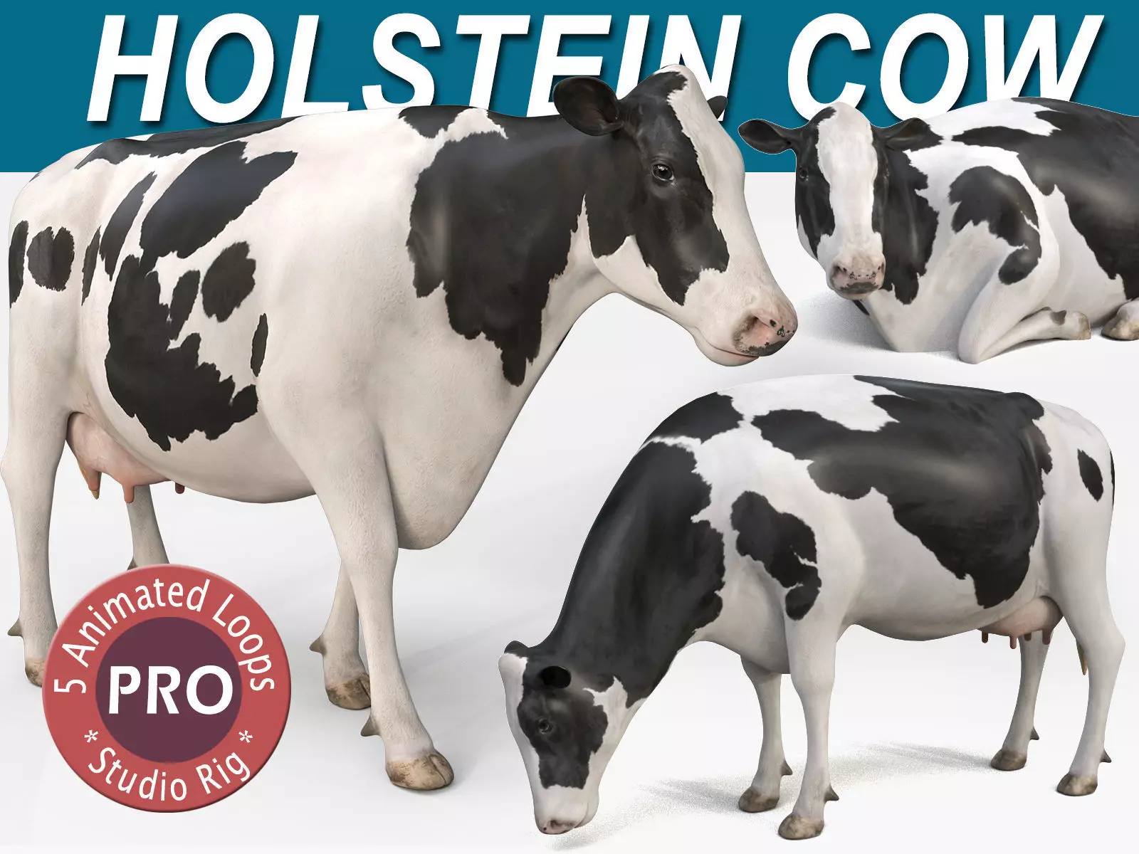 Cow PRO - Holstein 3D model_0
