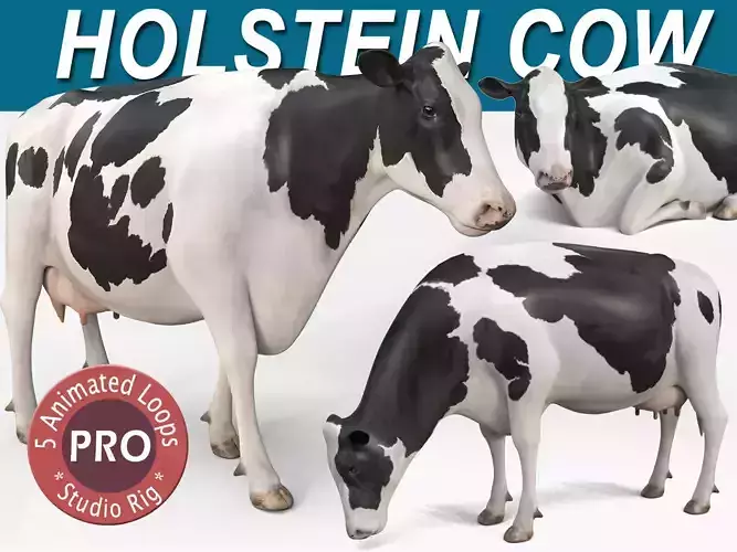 Cow PRO - Holstein 3D model