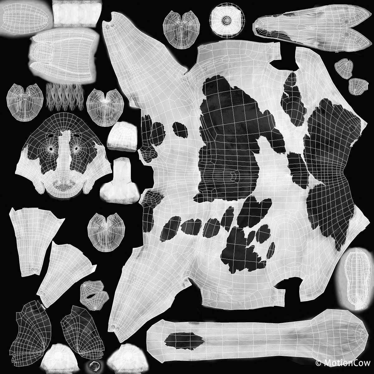 Cow PRO - Holstein 3D model_33