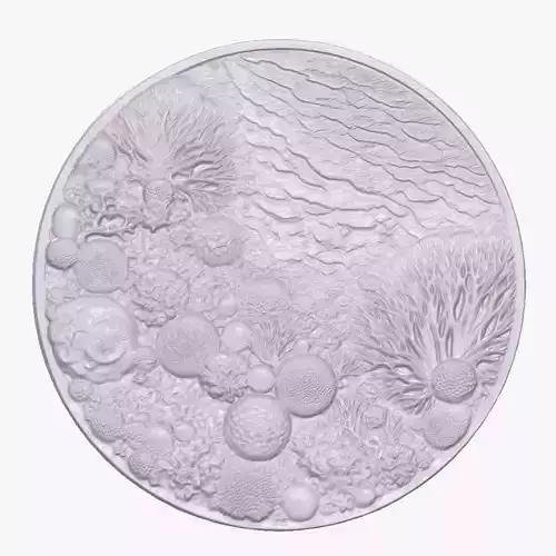 Coral Reef 2basrelief for 3D printing