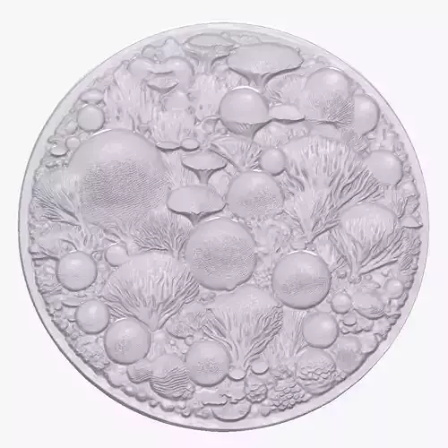 Coral Reef 4 basrelief for 3D printing