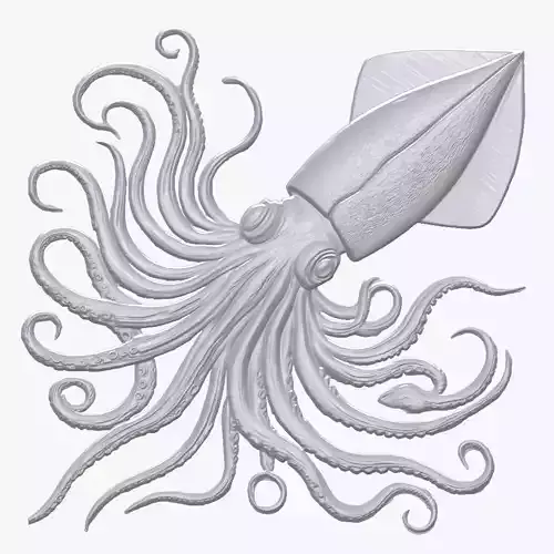 Giant Squid 6 basrelief for 3D printing
