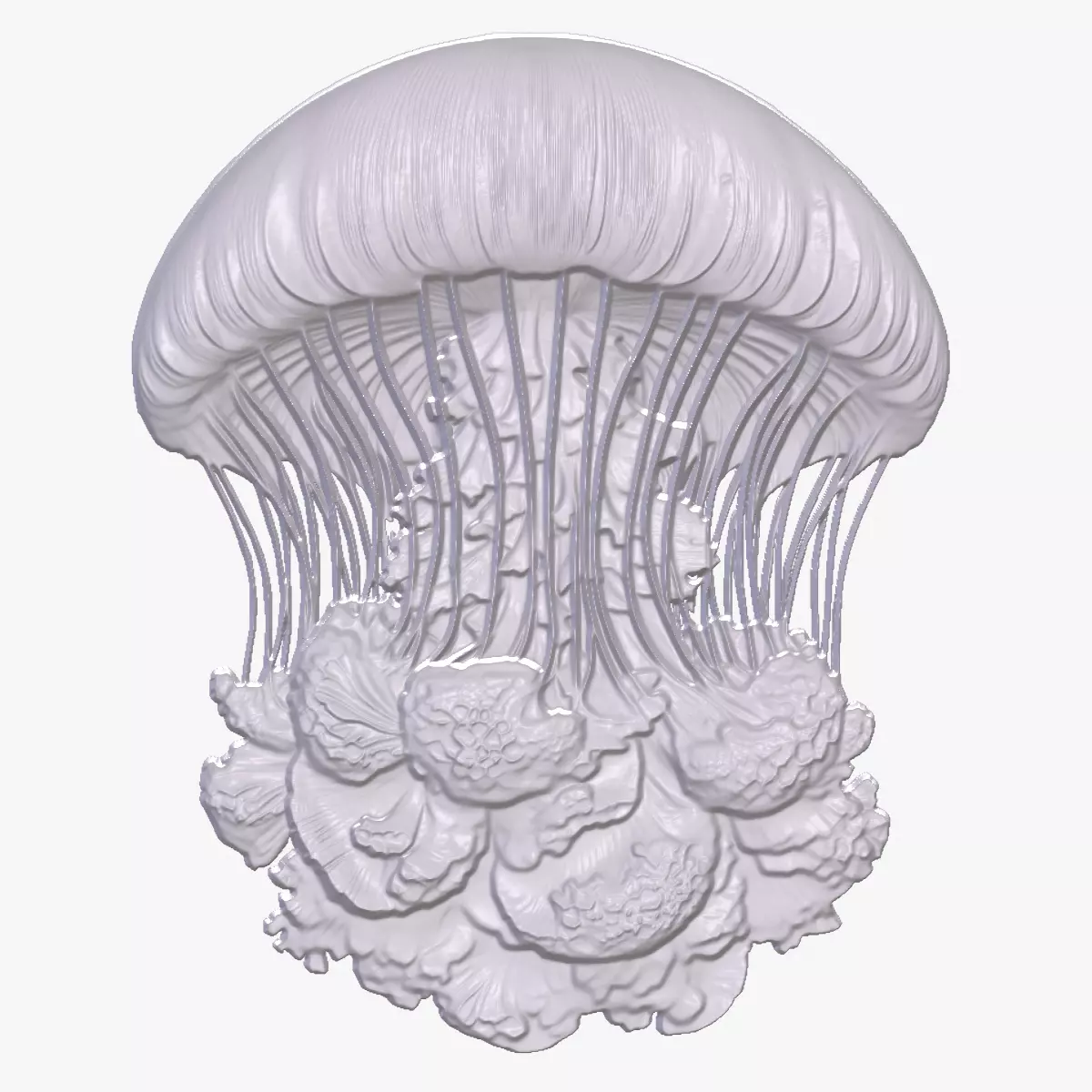 Jellyfish 5 basrelief for 3D printing 3D print model