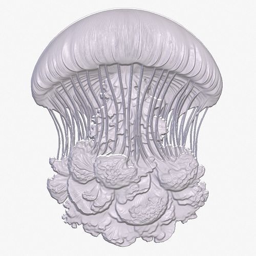 Jellyfish 5 basrelief for 3D printing 3D print model