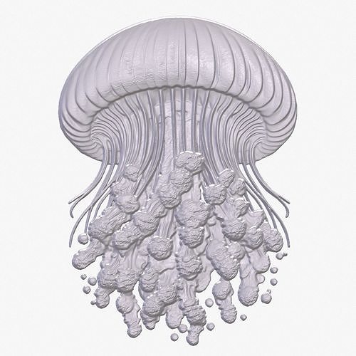 Jellyfish 7 basrelief for 3D printing 3D print model