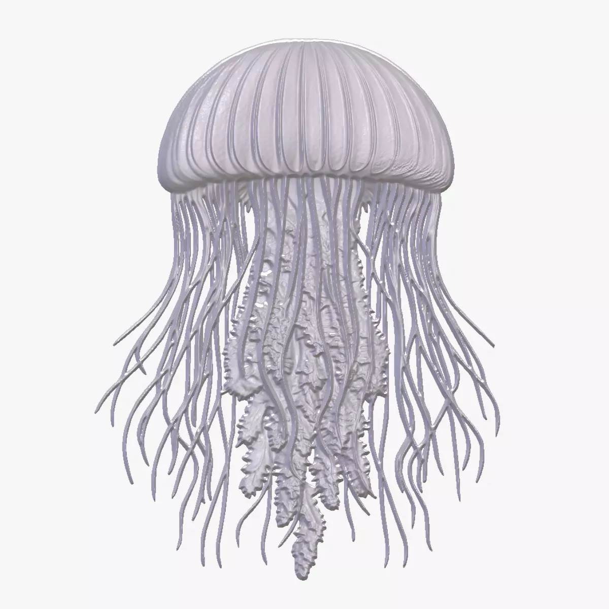 Jellyfish 8 basrelief for 3D printing 3D print model_0