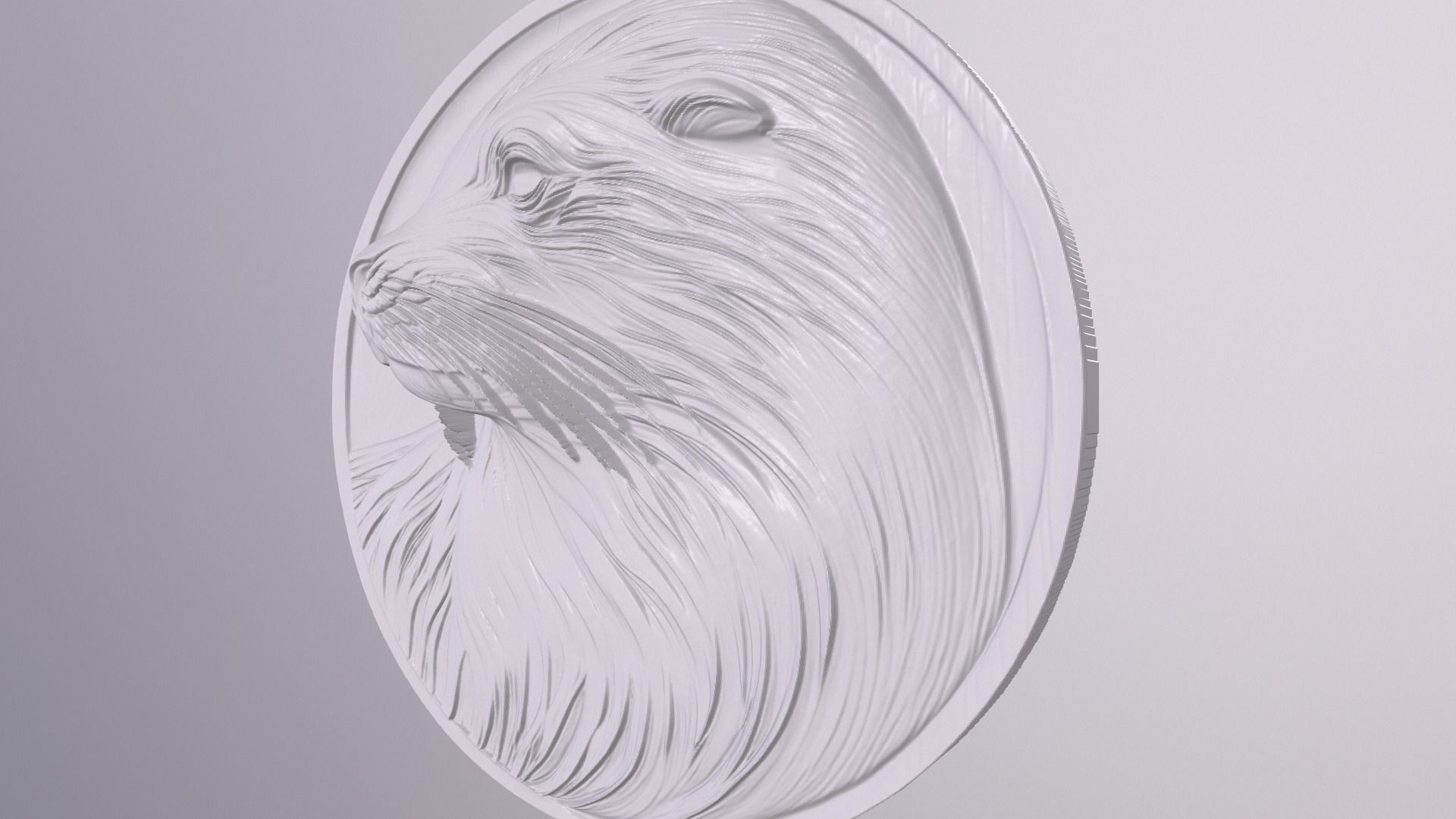 Sealion 4 basrelief for 3D printing 3D print model_3