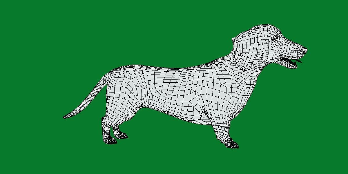 Wiener Dog Low-poly 3D model_9