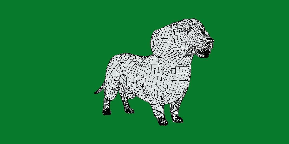 Wiener Dog Low-poly 3D model_8