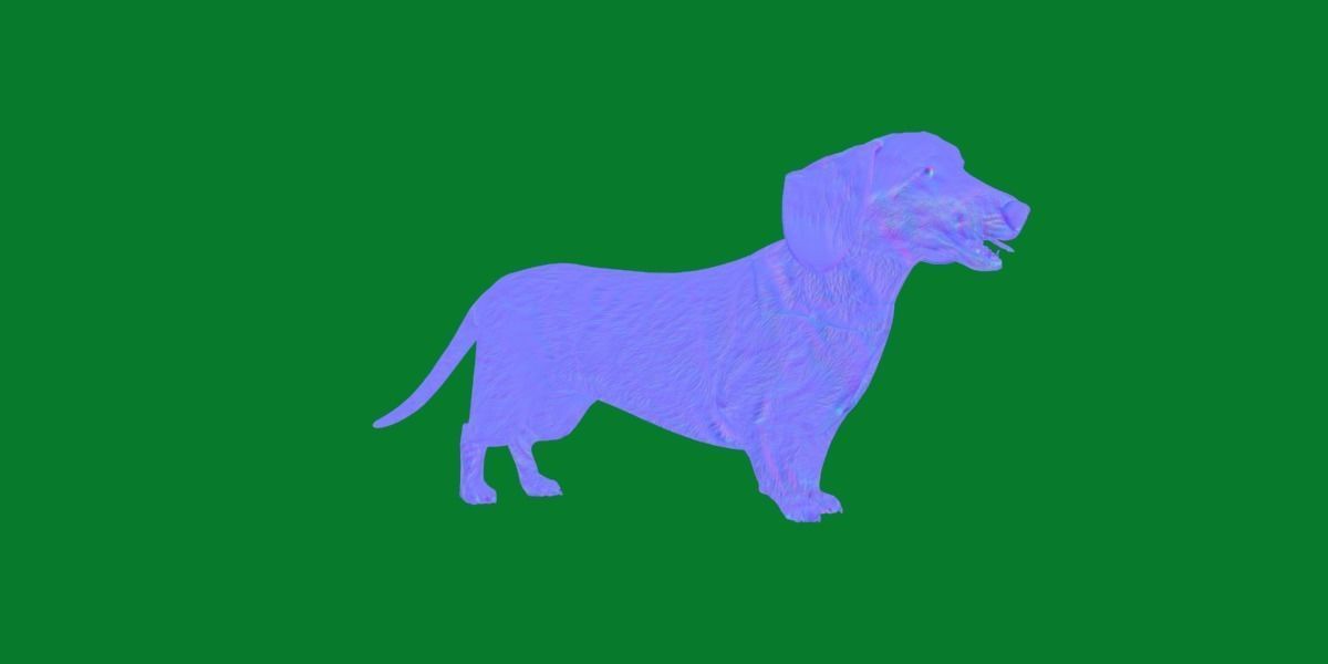 Wiener Dog Low-poly 3D model_3