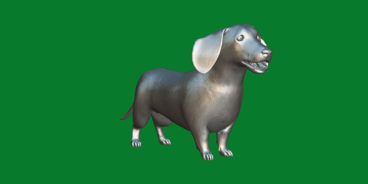 Wiener Dog Low-poly 3D model_7