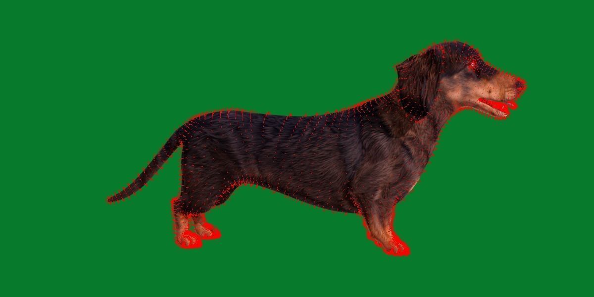 Wiener Dog Low-poly 3D model_10