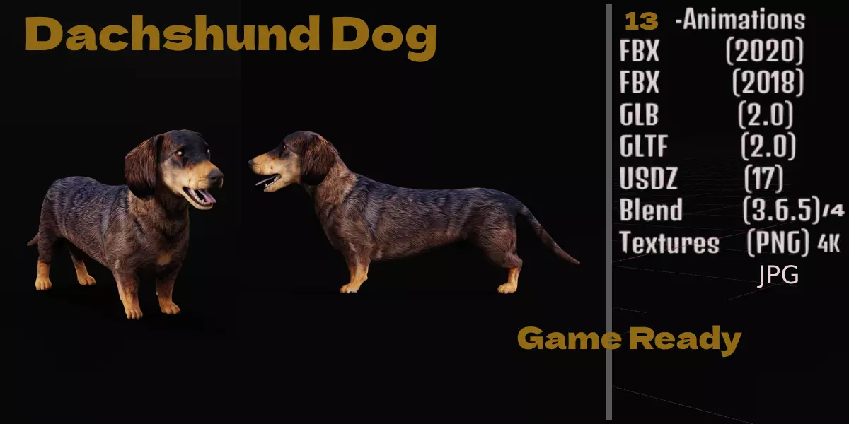 Wiener Dog Low-poly 3D model_0