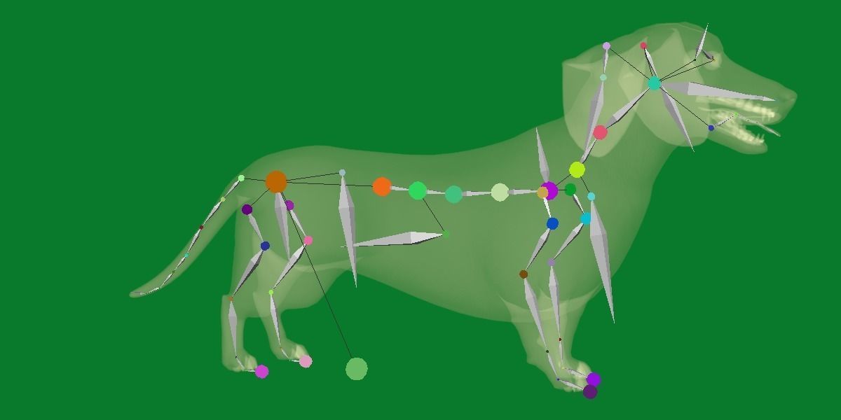 Wiener Dog Low-poly 3D model_16