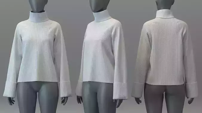 Turtleneck Sweater 3D model