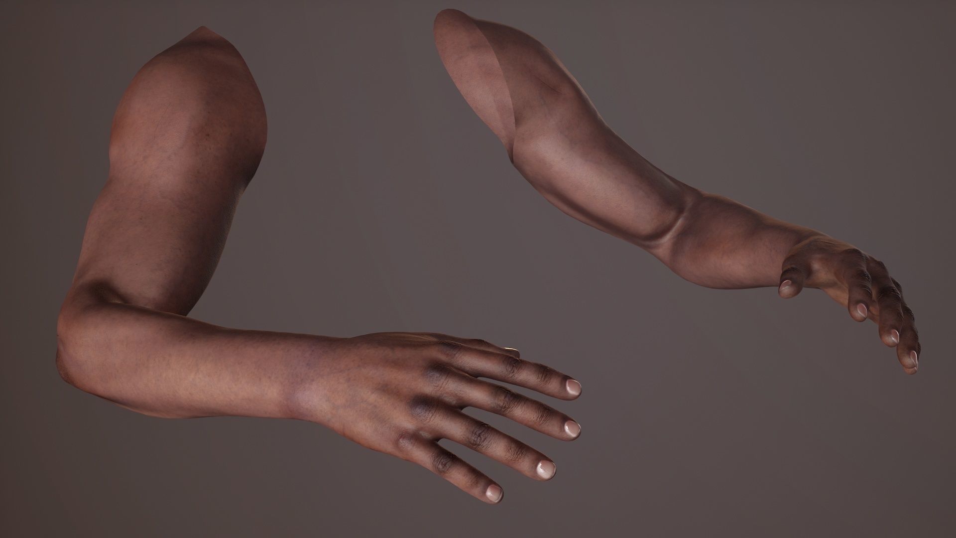 FPS Arms 01 Full Low-poly 3D model_8