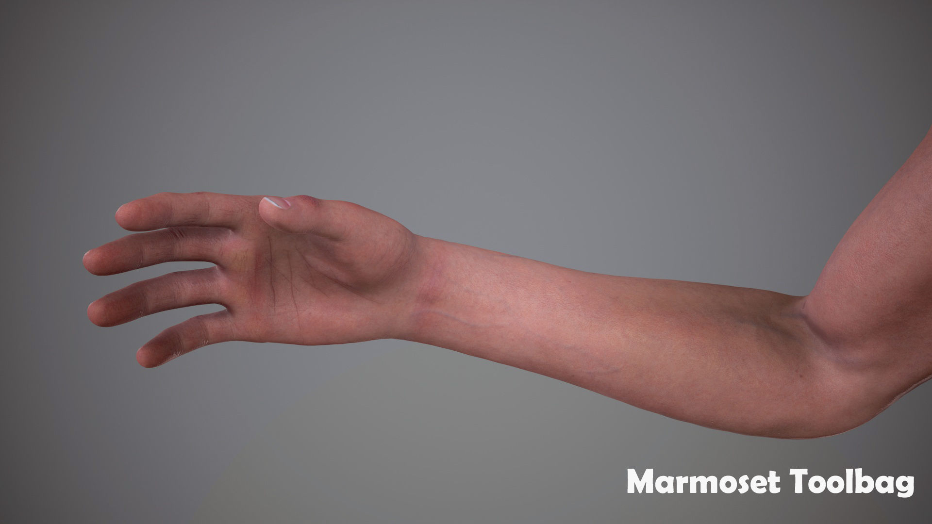 FPS Arms 01 Full Low-poly 3D model_24