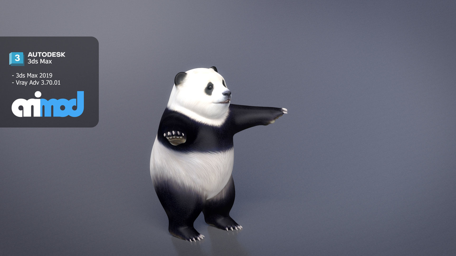 Panda 3D model_1