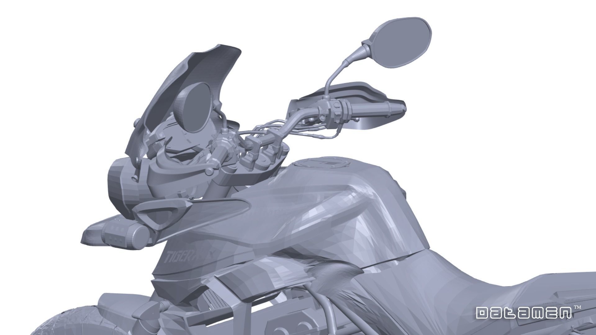 2020 Triumph Tiger XCX Complete Body 3D Scan Surface Data Model 3D model_8