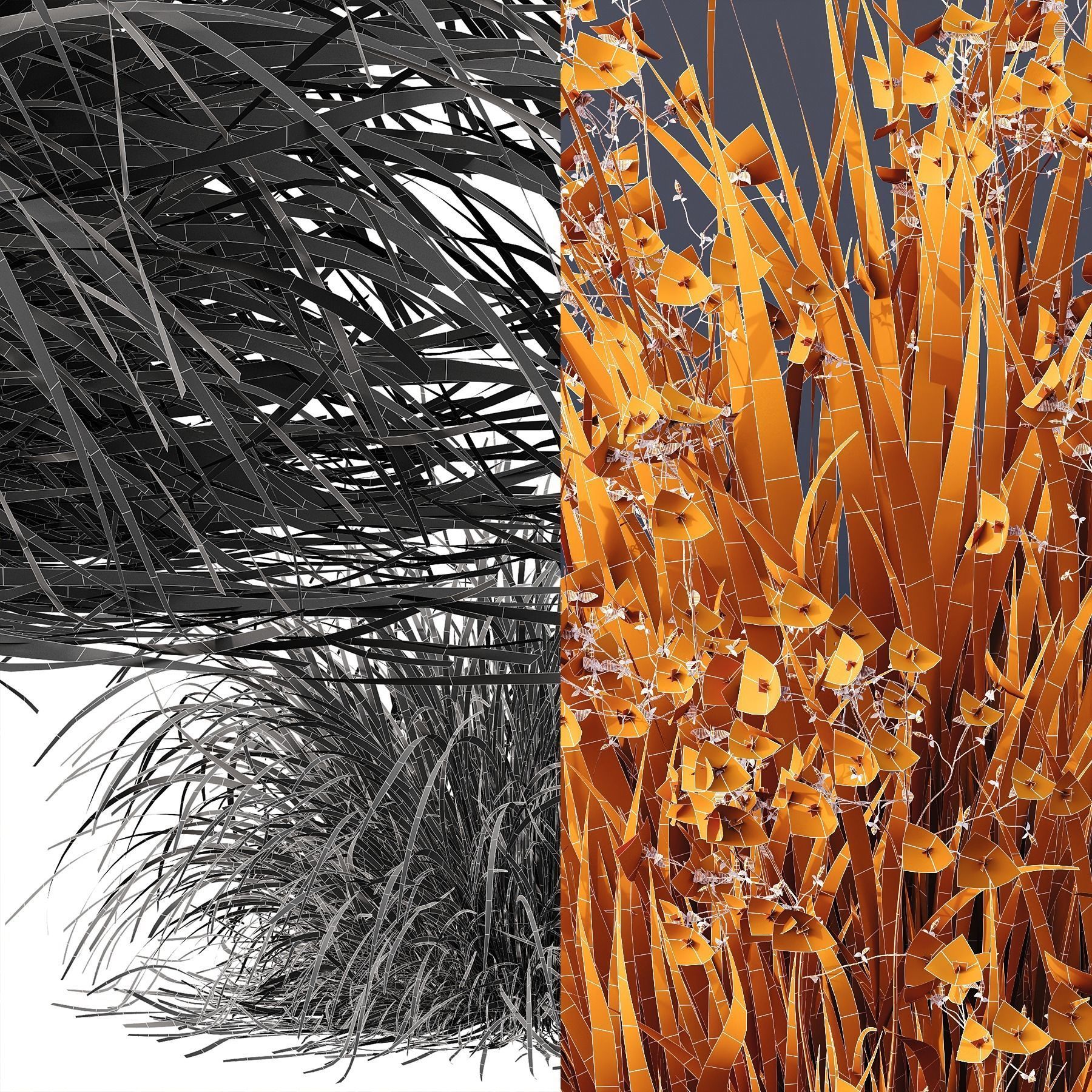 Libertia Grandiflora Grass and Carex Elata Aurea Grass 3D model_6