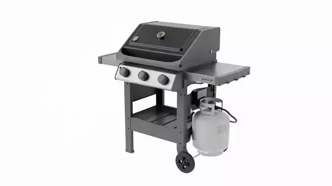 Propane Grill